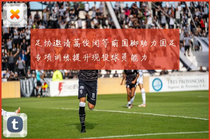 足协邀请蒿俊闵等前国脚助力国足专项训练提升现役球员能力